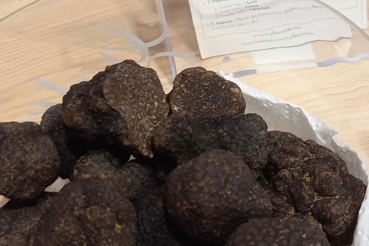 Vente de truffes